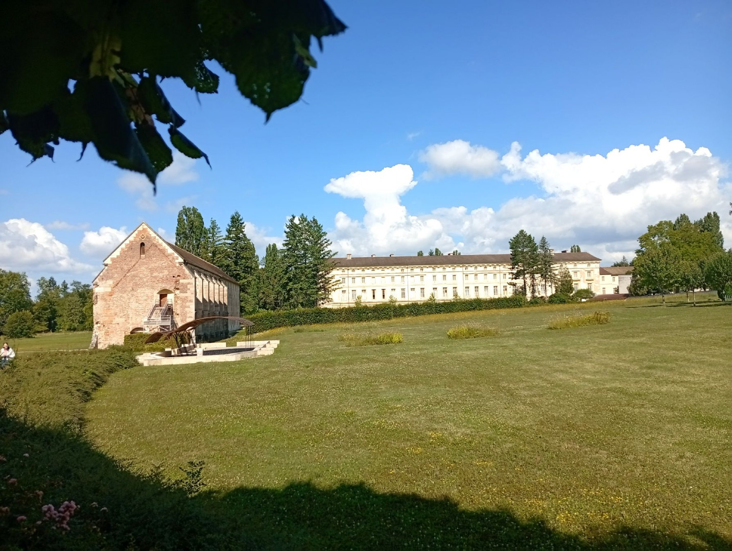 IMG_20250729_105647