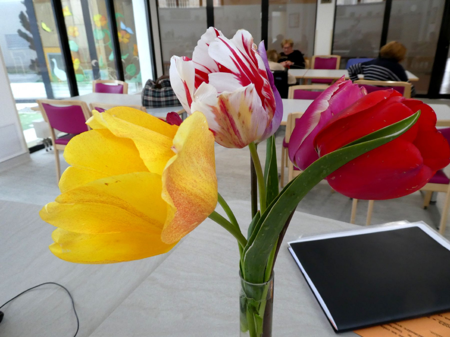 P1050925